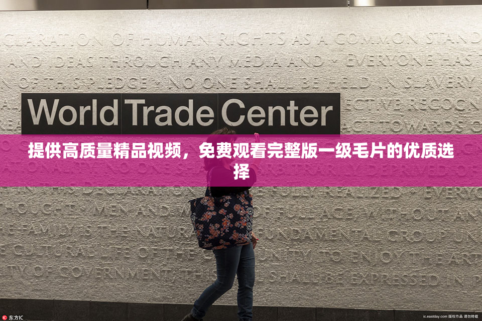 提供高质量精品视频，免费观看完整版一级毛片的优质选择