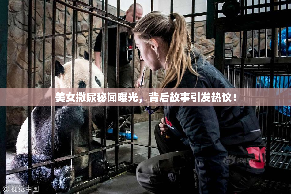 美女撒尿秘闻曝光，背后故事引发热议！