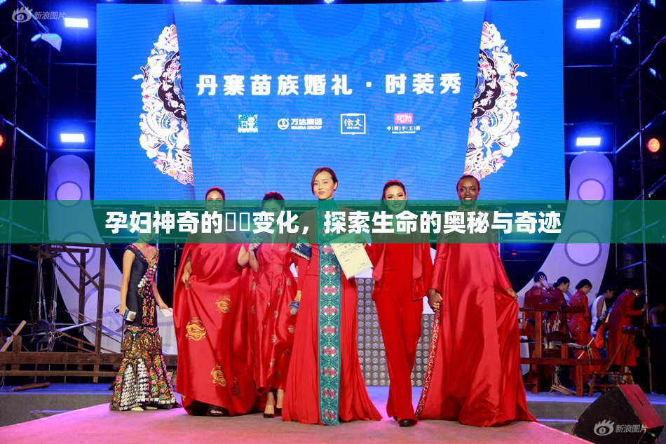 孕妇神奇的乂乄变化，探索生命的奥秘与奇迹
