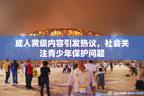 成人黄级内容引发热议，社会关注青少年保护问题