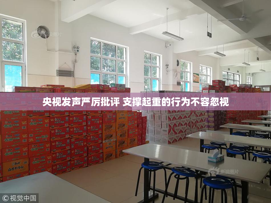 央视发声严厉批评 支撑起重的行为不容忽视
