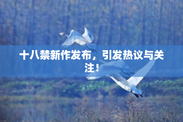 十八禁新作发布，引发热议与关注！