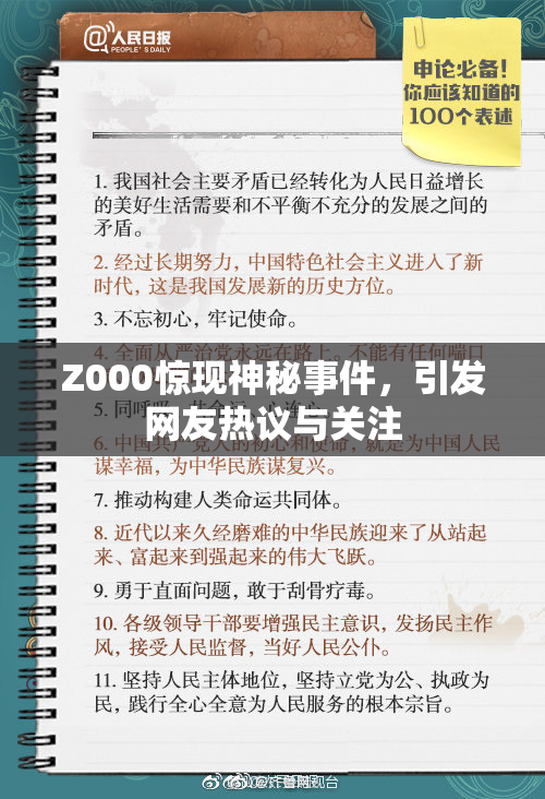 Z000惊现神秘事件，引发网友热议与关注