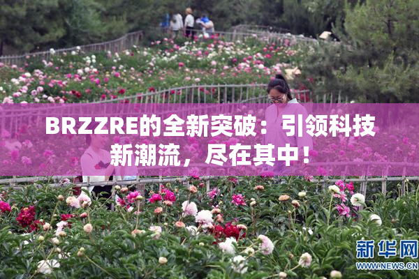 BRZZRE的全新突破：引领科技新潮流，尽在其中！