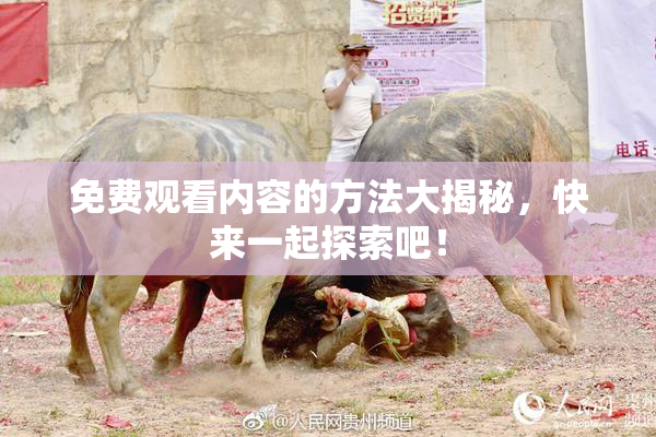 免费观看内容的方法大揭秘，快来一起探索吧！