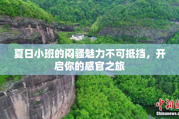 夏日小班的闷骚魅力不可抵挡，开启你的感官之旅