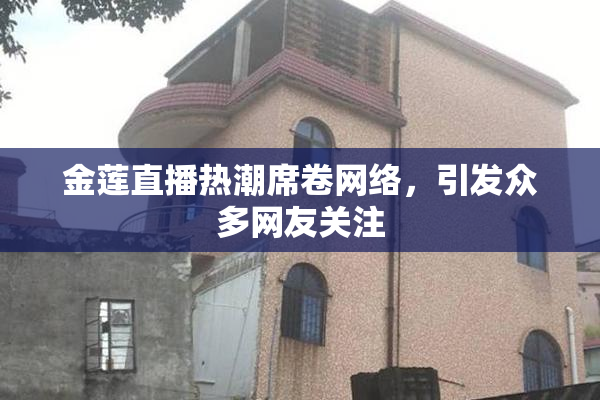 金莲直播热潮席卷网络，引发众多网友关注