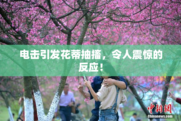 电击引发花蒂抽搐，令人震惊的反应！