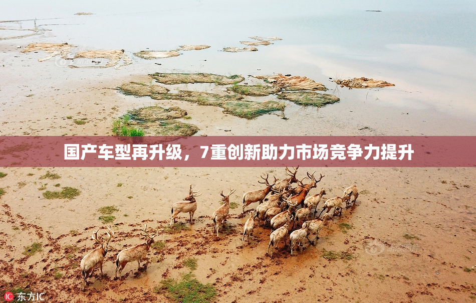 国产车型再升级，7重创新助力市场竞争力提升