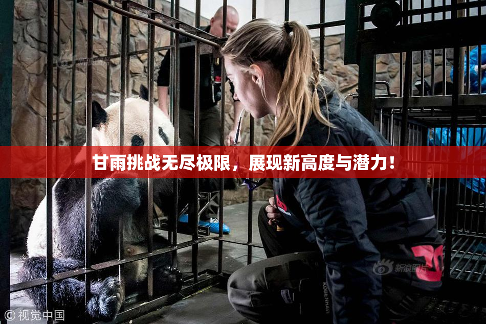 甘雨挑战无尽极限，展现新高度与潜力！