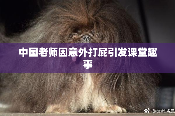 中国老师因意外打屁引发课堂趣事