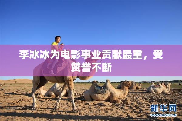 李冰冰为电影事业贡献最重，受赞誉不断