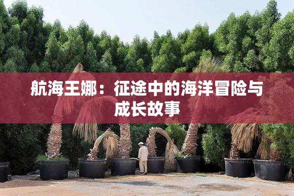 航海王娜：征途中的海洋冒险与成长故事