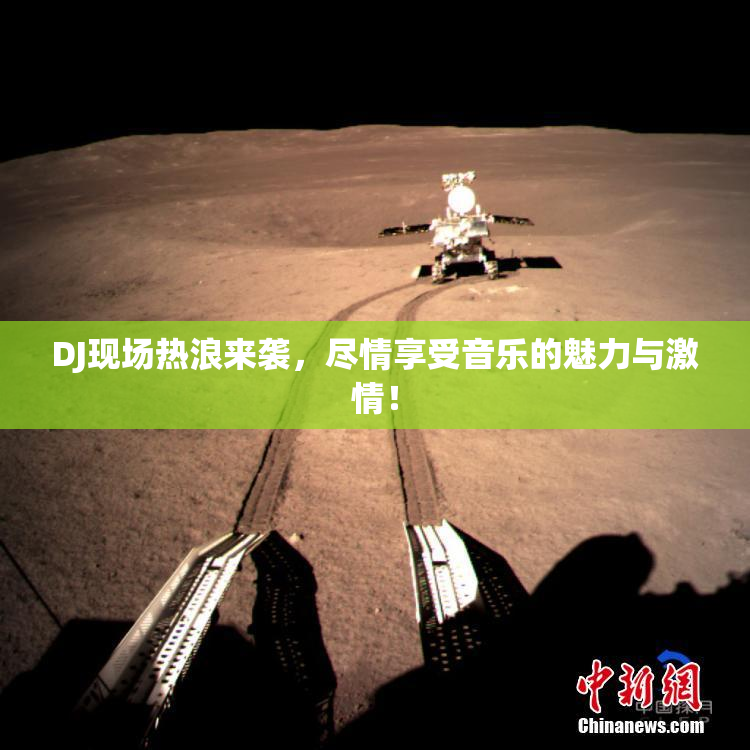 DJ现场热浪来袭，尽情享受音乐的魅力与激情！