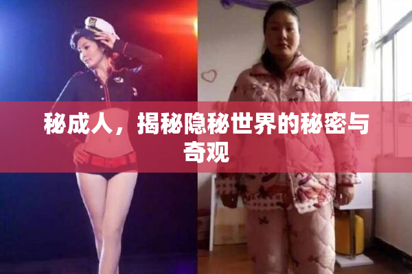 秘成人，揭秘隐秘世界的秘密与奇观