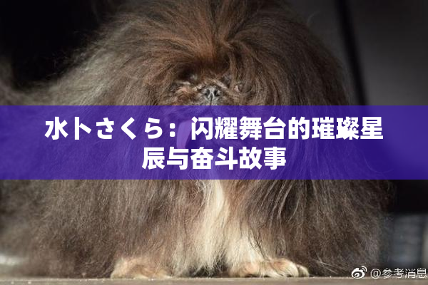 水卜さくら：闪耀舞台的璀璨星辰与奋斗故事