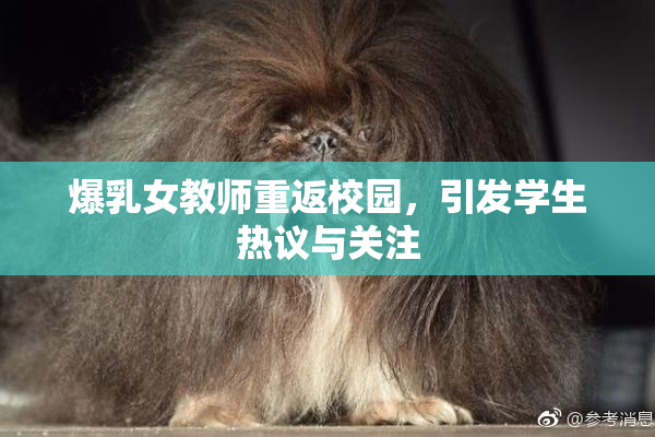 爆乳女教师重返校园，引发学生热议与关注