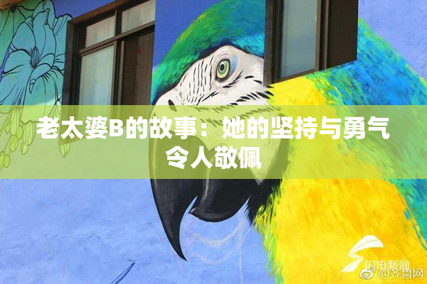 老太婆B的故事：她的坚持与勇气令人敬佩