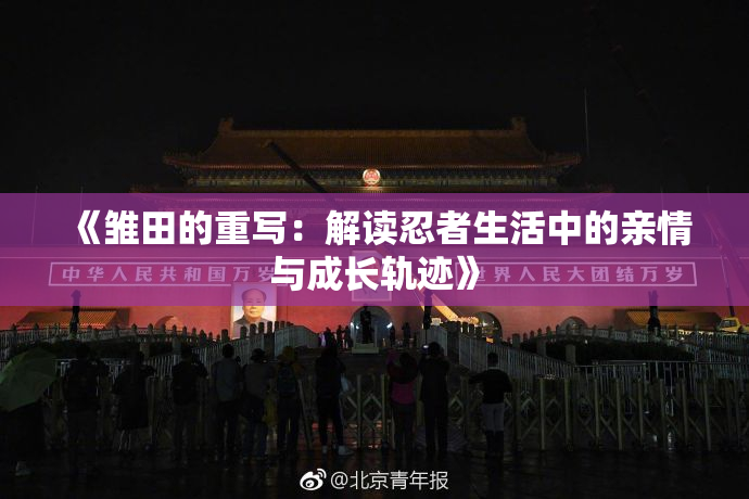 《雏田的重写：解读忍者生活中的亲情与成长轨迹》