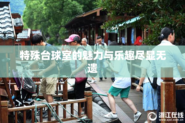 特殊台球室的魅力与乐趣尽显无遗
