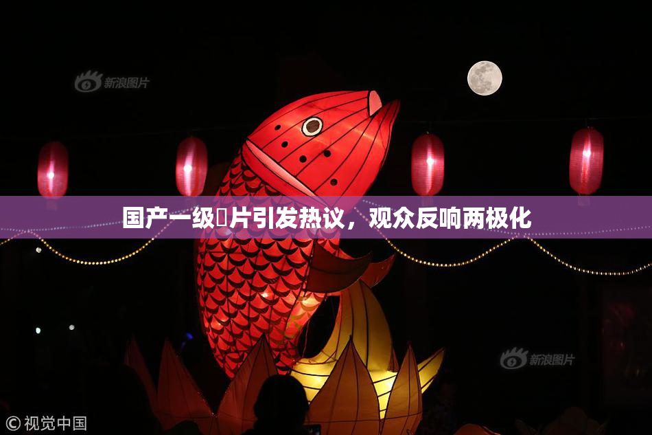 国产一级婬片引发热议，观众反响两极化