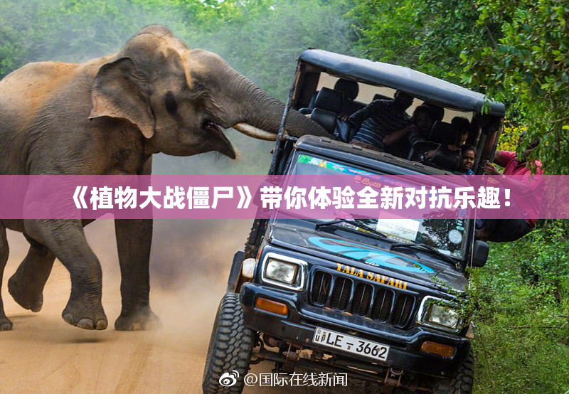 《植物大战僵尸》带你体验全新对抗乐趣！