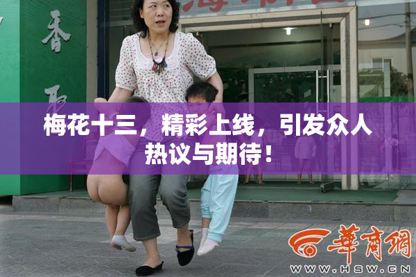梅花十三，精彩上线，引发众人热议与期待！