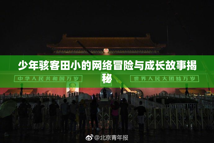 少年骇客田小的网络冒险与成长故事揭秘