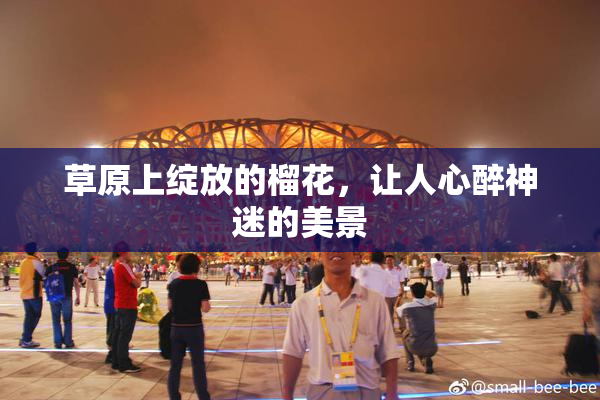 草原上绽放的榴花，让人心醉神迷的美景