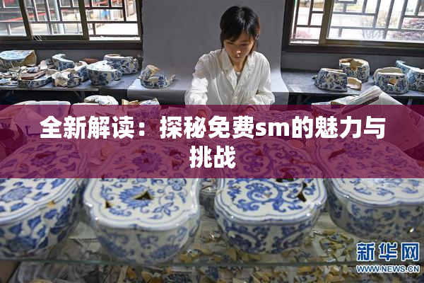 全新解读：探秘免费sm的魅力与挑战