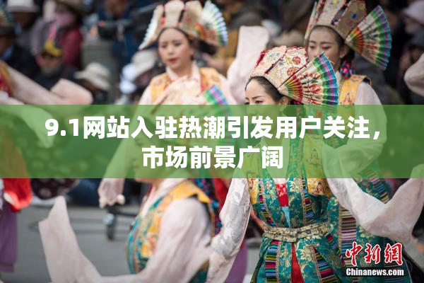9.1网站入驻热潮引发用户关注，市场前景广阔