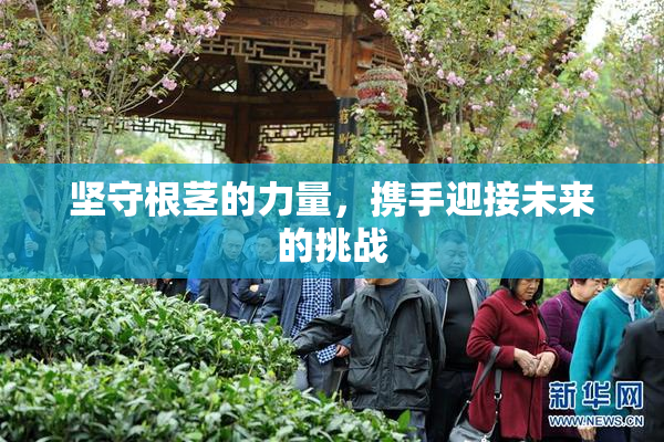 坚守根茎的力量，携手迎接未来的挑战