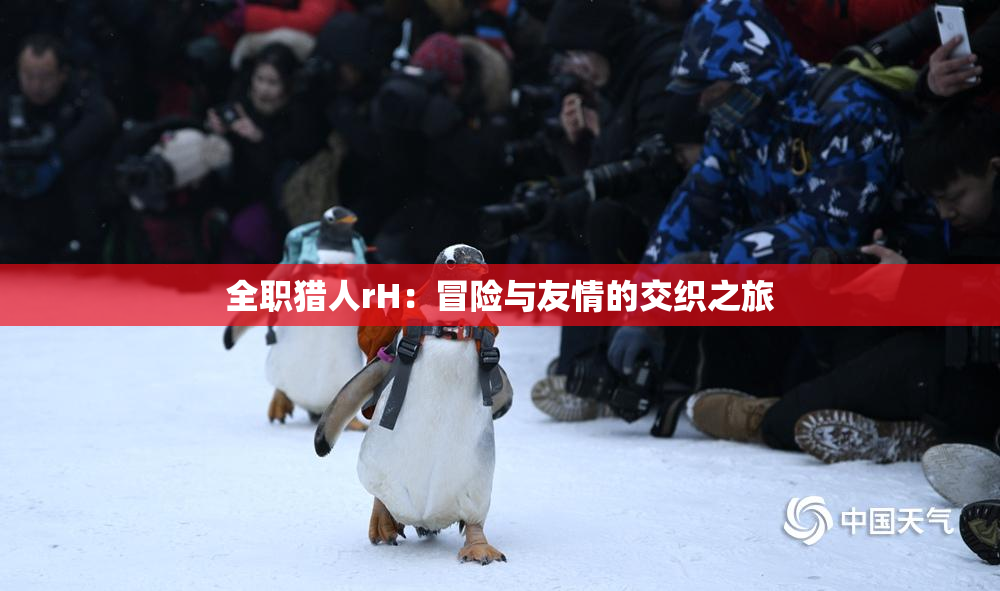 全职猎人rH：冒险与友情的交织之旅