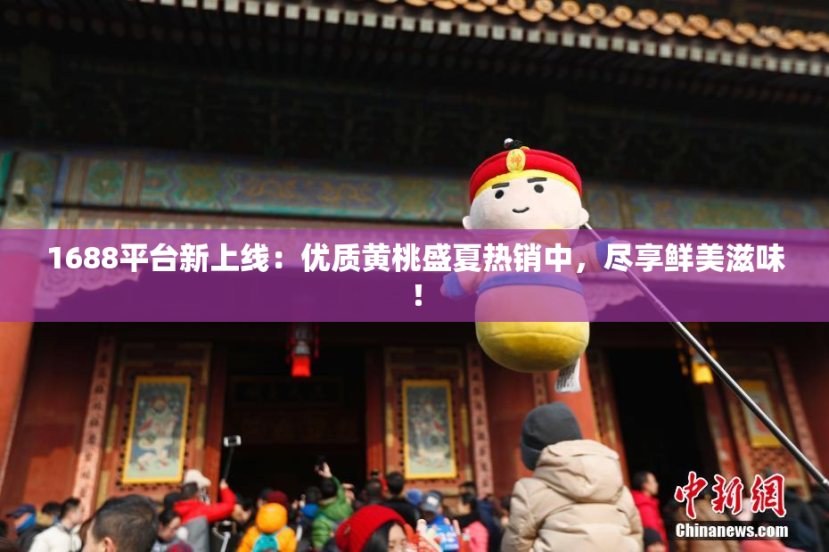 1688平台新上线：优质黄桃盛夏热销中，尽享鲜美滋味！