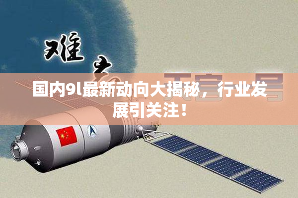 国内9l最新动向大揭秘，行业发展引关注！