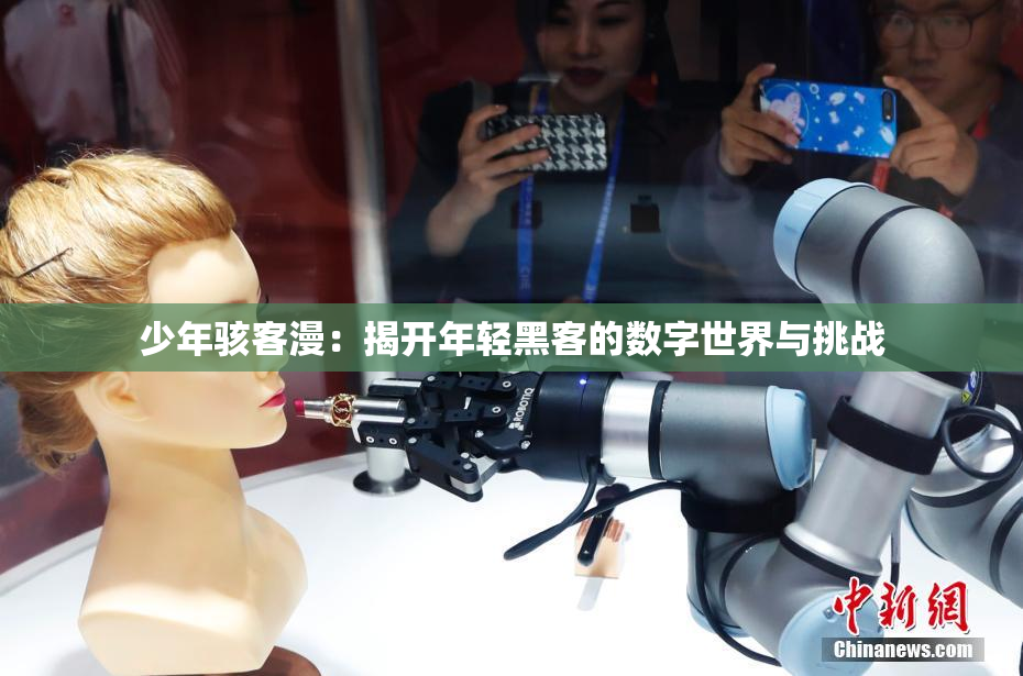 少年骇客漫：揭开年轻黑客的数字世界与挑战