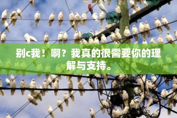 别c我！啊？我真的很需要你的理解与支持。