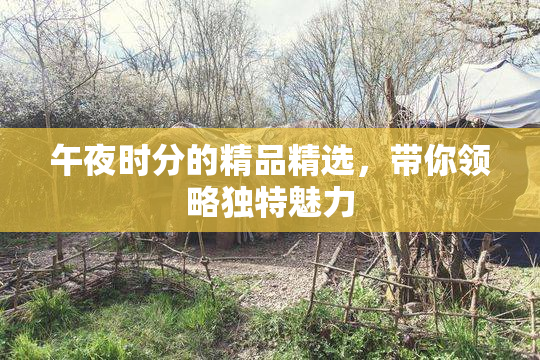 午夜时分的精品精选，带你领略独特魅力