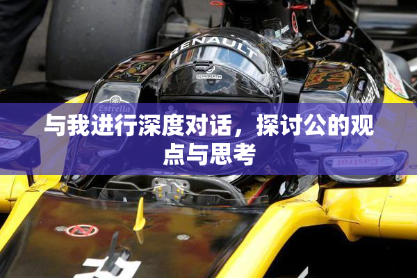 与我进行深度对话，探讨公的观点与思考