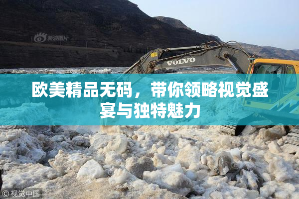 欧美精品无码，带你领略视觉盛宴与独特魅力