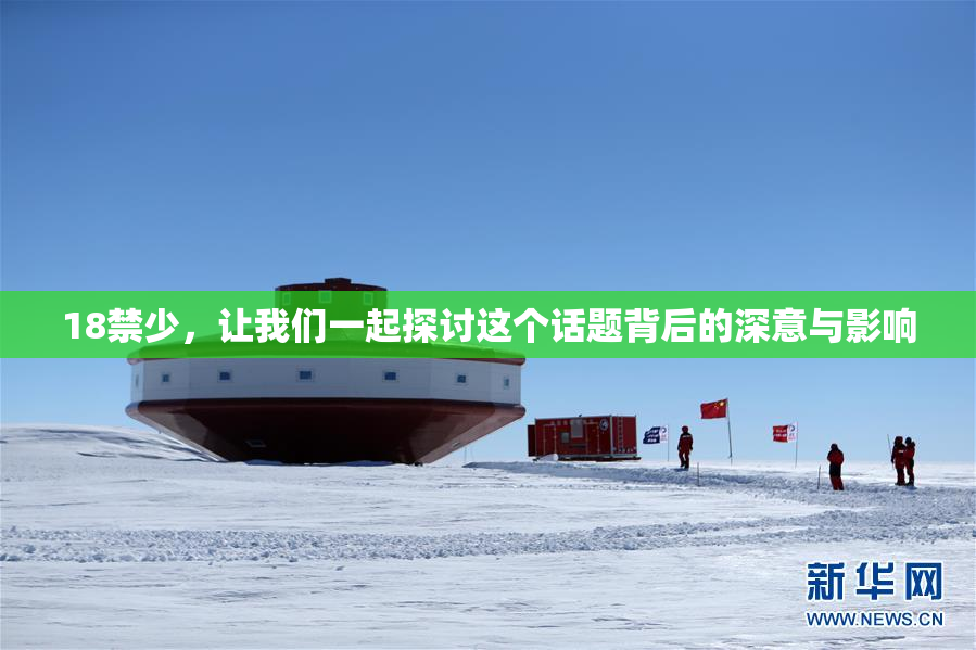 18禁少，让我们一起探讨这个话题背后的深意与影响