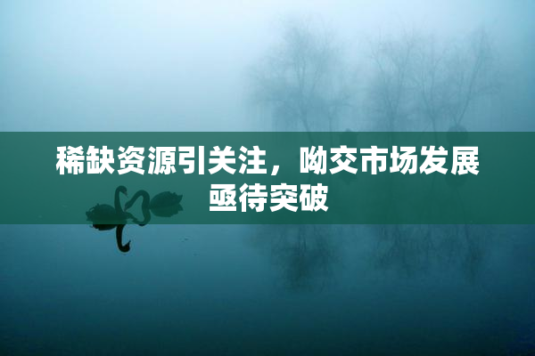稀缺资源引关注，呦交市场发展亟待突破
