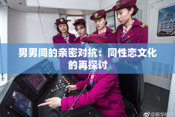男男间的亲密对抗：同性恋文化的再探讨