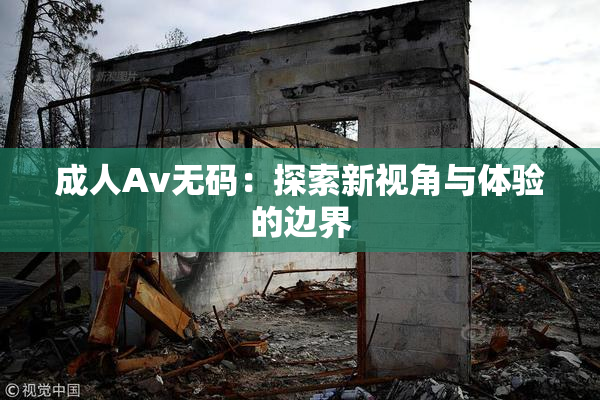 成人Av无码：探索新视角与体验的边界