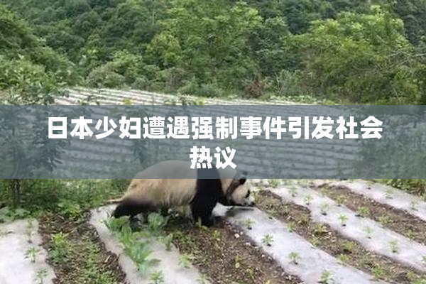 日本少妇遭遇强制事件引发社会热议