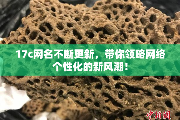 17c网名不断更新，带你领略网络个性化的新风潮！