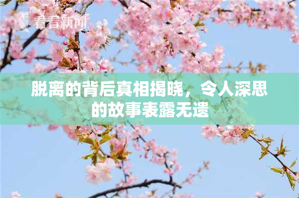 脱离的背后真相揭晓，令人深思的故事表露无遗