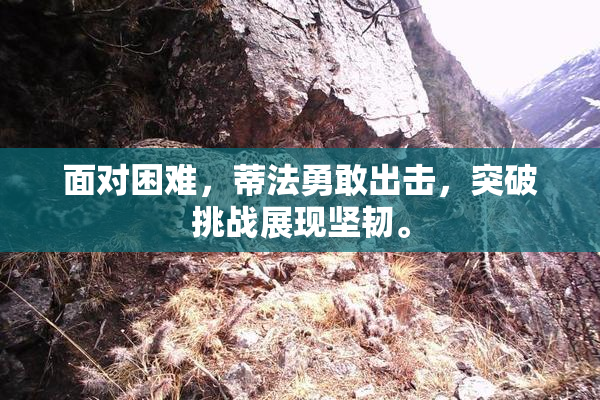 面对困难，蒂法勇敢出击，突破挑战展现坚韧。