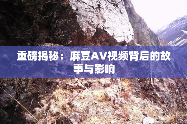 重磅揭秘：麻豆AV视频背后的故事与影响