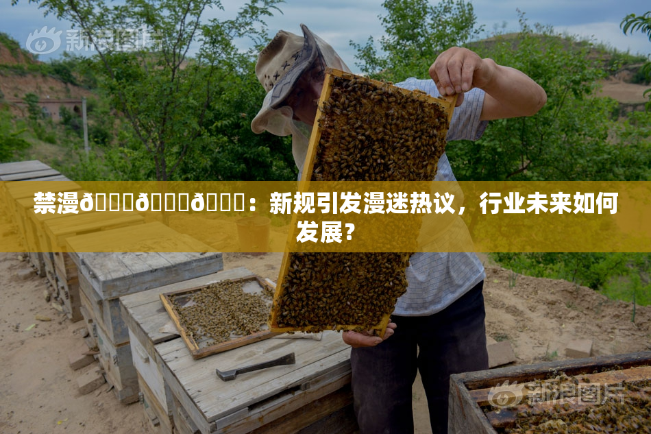 禁漫🍆🍑🔞：新规引发漫迷热议，行业未来如何发展？